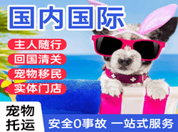 普陀山国际宠物托运 【国